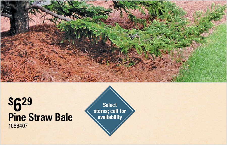 Pine Straw Bale